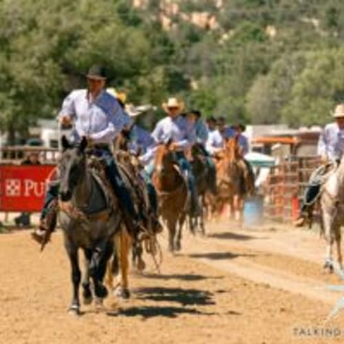 Prescott Hosts Olsen's Equifest and Legacy Ranch Horse Sale cover art