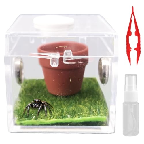 ~jw偎P[X ANw偎P[X ANZT[ ^`P[X w偗p{bNX DƃX^C2