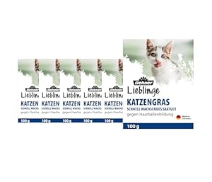 Dehner Lieblinge Katzengras Saatgut, 6 Stück