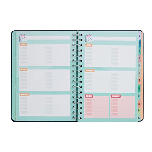 Mr.Wonderful Wonder 2023-2024 Week to View Diary - So Many Dreams To Fulfill, Multi-Coloured - Multi-Coloured - Image 4