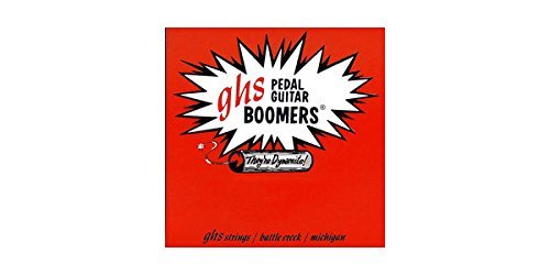 Amazon.co.jp: GHS ジーエイチエス 10弦ペダルスチールギター（ペダル