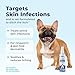 Vetnique Dermabliss Medicated Chlorhexidine Antiseptic Skin Spray for Dogs & Cats, Supports Skin Infections and Irritations 8oz