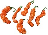 Samenchilishop