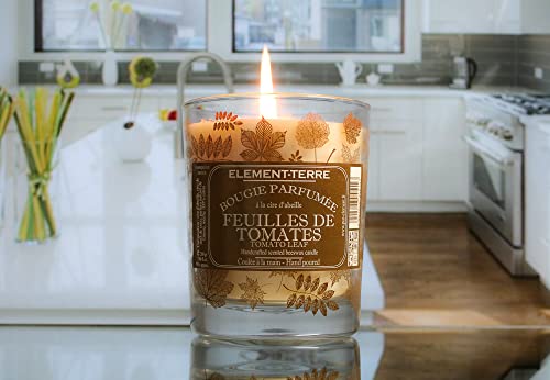 ELEMENT-TERRE Candela Profumata 200 Grammi, 50 Ore...