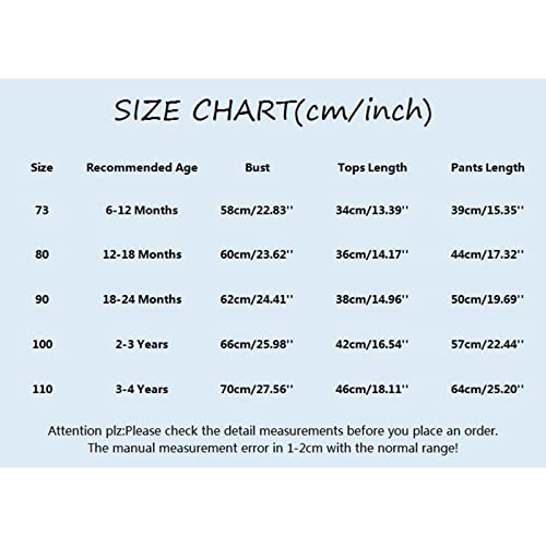 Infant Children Kids Toddler Baby Boys Girls Long Sleeve Cute Animals Sweatshirt Pullover Tops Little Boy Outfits 4t3