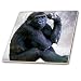 Produktbild 3dRose CT 88400 _ 4 California, San Diego Zoo Lowland Gorilla US05 gje0031 Gavriel Jecan Keramik Fliesen, 30,5 cm