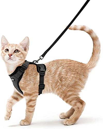 rabbitgoo Kattenharnas en Riem 150cm, Harnas Kat anti-ontsnapping, Verstelbaar kattentuigje, XS, Zwart