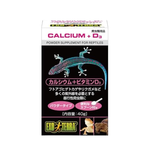 「セット」 GEX EXOTERRA カルシウム＋ビタミンD3 40g 爬虫類用 と フィルム穴あけ用ピック