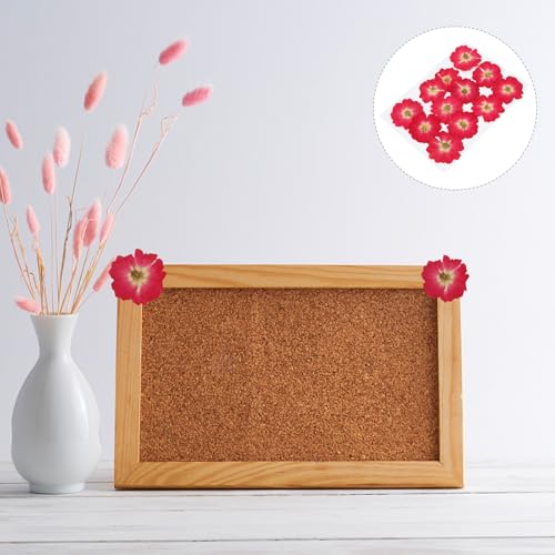 12 Flores de Rosa Secas Naturales para Manualidades miniatura 7