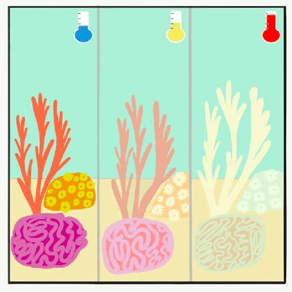 Episode 5: Climate Science