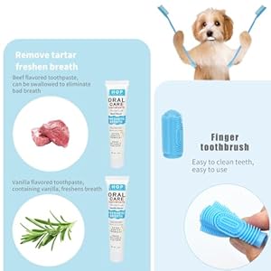 HOP Dog Toothbrush 10PCS Cats Dogs Dental Care Soft Bristles Finger Toothbrush Set Toothpaste Fresh Breath Dog Oral Care Kit Suitable for All Pets Home of Paws