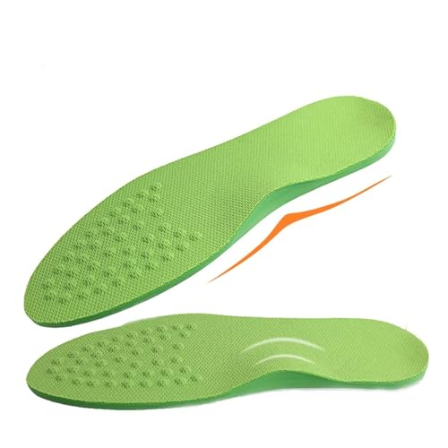 YMGSCC(NĂ) `OȃC\[A[`T|[gC\[ Corrigibil O rO}bT[WCpbhrPA(XL)