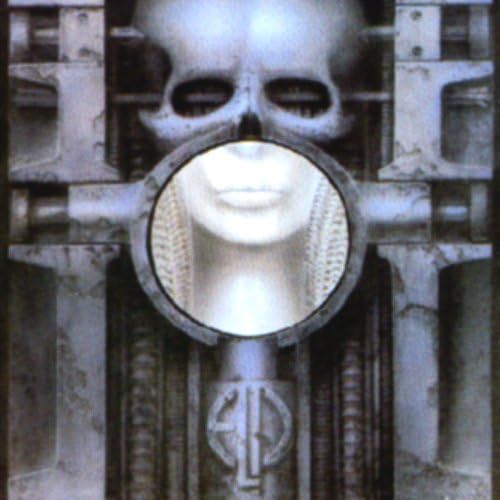 Brain Salad Surgery