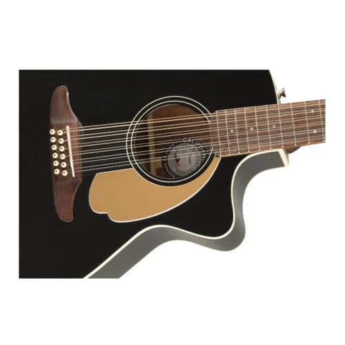 Fender Villager 12-String - 12 String Acoustic Guitar : Amazon.co