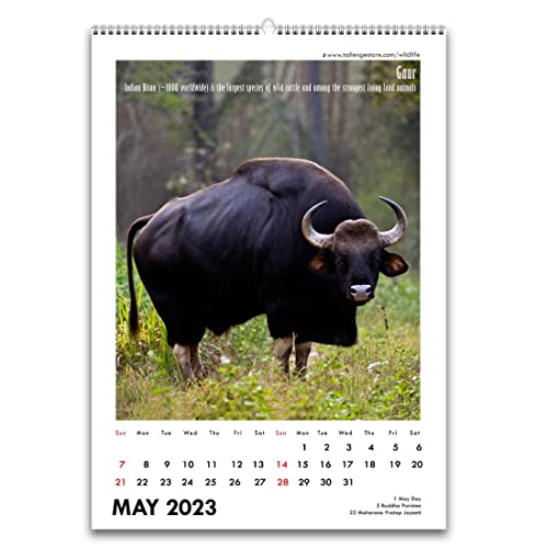 Image of Tallenge - JAMINI ROY- 2026 Wall Calendar - 12 x 17 Inches for Home & Office (Paper, Wall Calendar)
