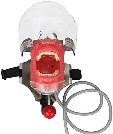 Simulator Manikin Phantom Head Dental Phantom Head Model with Bench Mount on Dental Chair