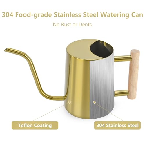 Image of Watering Can Indoor Plants, 35oz Small Stainless Steel Metal Watering Can Modern Decorative Watering Pot with Long Spout for Indoor House Plant Bonsai Garden Flowers (Gold)