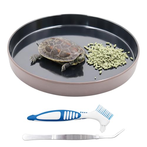 Reptile Feeder Kit, Food Water Bowl, Plastic Round Tortoise Feeding Dish, Amphibian Feeding Bowl, Tank Terrarium Accessories for Bearded Dragon Snake Hermit Crab Turtle Lizard Chameleon - 8 × 8 × 1