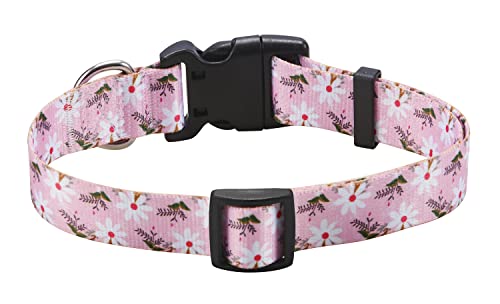 Mihqy Dog Collar for Small Dogs Cute Small Medium Large Dog Pet Collar Cat Collar, with Floral Patterns - Image 2