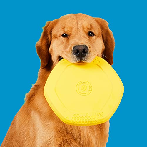 PROJECT HIVE ·PET COMPANY· - Hive Frisbee for Dogs - Dog disc - Great for Fetch - Includes a Lick mat on Back - Floats in Water, Smooth Glide - Made in The USA - Image 5