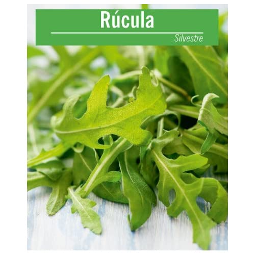 Semillas de Arúgula o Rúcula para Ensalada Fácil Germinación