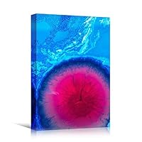 Canvas Wall Art Liquid Abstract Colorful Decorative Elements Mixed Media Multicolor Swirly - 12x18 inches