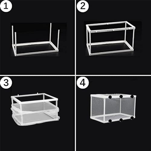 Breeding Box, Schwimmende Laichkasten, Aquarium Fische Brutkasten, Geeignet für Aquarien, isolieren Sie Sämlinge und unterstützen Sie die Inkubation und Reproduktion(Weiß)