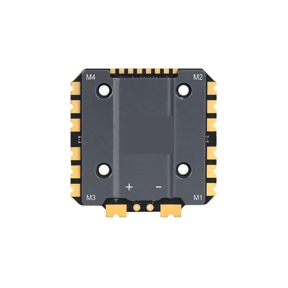 Controller ESC compatibile con i droni Axisflying Argus Pro 80A 100A 8bit 32bit 8S(100A 8bit ESC)