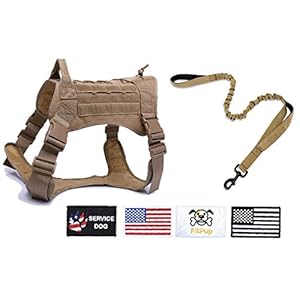 FitPup-Tactical-Dog-Harness-and-Bungee-Dog-Leash-Set-for-Medium-Large-XL-Dogs--K9-Military-Molle-Vest-for-Service-Training-with-Metal-Buckles-Loop-Panels--Adjustable-Hunting-Hiking-Walking Tactical Dog Harness and Bungee Leash Set
