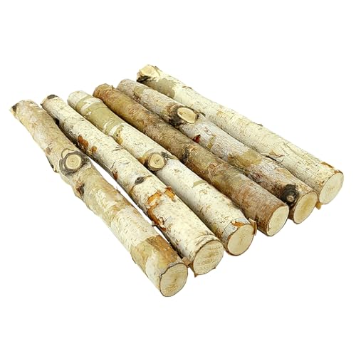 Nature Vibe 12 Inches Birch Logs Set of 6 for Rustic Home Decor