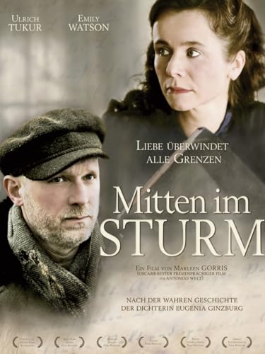Mitten im Sturm cover