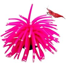 زينة حوض السمك المتوهجة CTWPets Fluorescent Aquarium Decor للمياه العذبة والمياه المالحة | آمنة لأسماك البيتا والروبيان والأسماك الاستوائية | تتضمن بطاقة جامع باللون الوردي، صغيرة