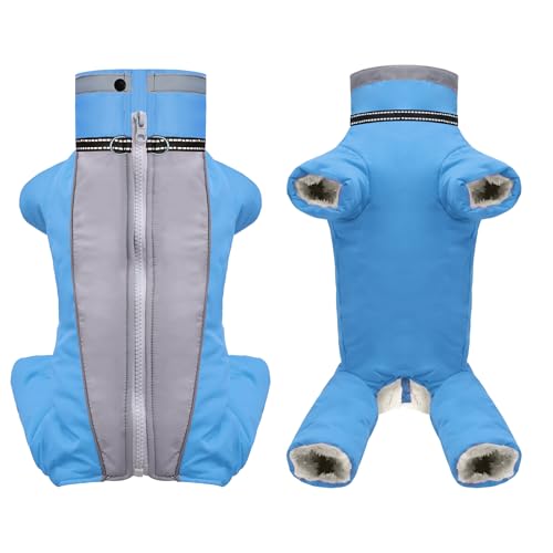 Ropa Perros Pequeños Hembra Marca JULY'S SONG