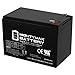ML15-12 12V 15AH F2 Battery Replacement for Road Cruiser 360WD, FH360WD