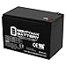 Mighty Max Battery ML15-12 - 12 Volt 15 AH, F2 Terminal, Rechargeable SLA AGM Battery