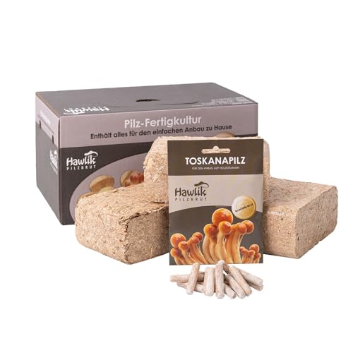 Hawlik Pilzbrut - Pholiote Nameko - Kit champignons à faire pousser – Cultiver facilement des champignons dans votre jardin et récolter des champignons frais – Kit champignon