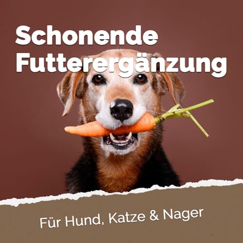 DIMIKRO Futterkohle für Hunde & Katzen 250g - Aktivkohle ideal geeignet bei Futterumstellungen oder empfindlicher Verdauung - Kohlepulver für Haustiere - Mischen mit Futter oder Trinkwasser