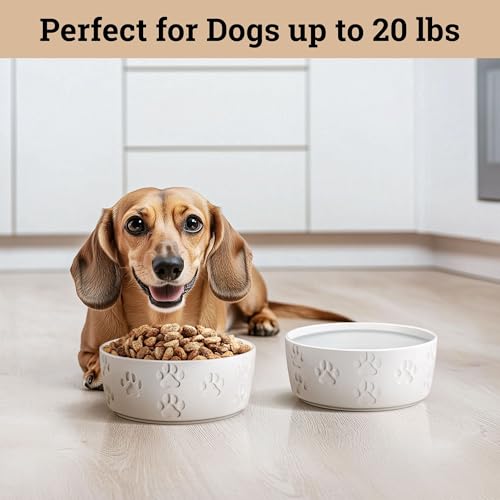 Ceramic Dog Bowl Set of 2 with Anti-Skid Base - 5" Wide x 2" Tall Ceramic Dog Bowls for Small Dogs - 2 Cup Capacity Food and Water Bowls for Dogs - Rubber Bottom Pet Bowl Set of 2 for Small Pets - Image 5