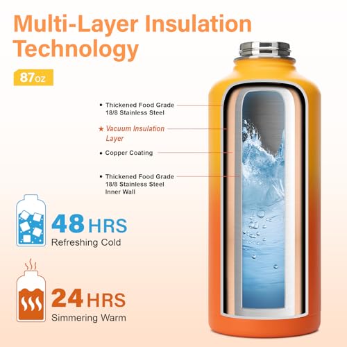 Insulated Water Bottle | Thickened Stainless Steel for Gym and Hiking with Straw, Carrier Bag, Handle Strap | BPA-Free 87 oz