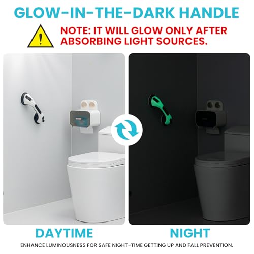 Image of TAILI Shower Grab Bars,Suction Shower Handles,Glow in The Dark,12.2 inch,Black