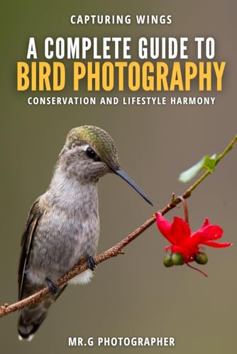 Capturing Wings: A Complete Guide in Bird Photography, Conservation, and Lifestyle Harmony