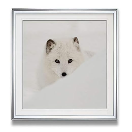 Arctic Fox Wall Art Framed Winter Snow Pictures Animal Artwork Giclee Canvas Prints Wall Decor Ready To Hang