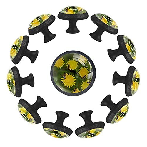 Boutons de tiroir ronds 35 mm Fleurs et Abeilles commode chambre et crèche enfant - 2