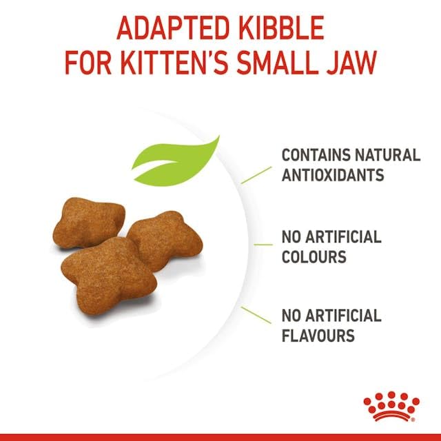 Royal Canin Kitten Sterilised | Pack Double | 2 x 400 g | Aliment Complet pour Chats | Spécialement conçu pour Les Chats castrés en Pleine Croissance, de 6 à 12 Mois