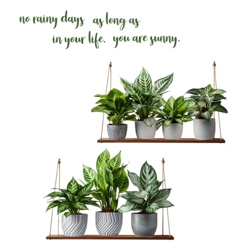 Vinilo Decorativo Ipetboom Bonsai Verde 30x90 cm