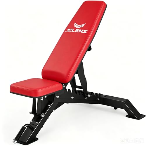 WB02 Adjustable Weight Bench for Home Gym