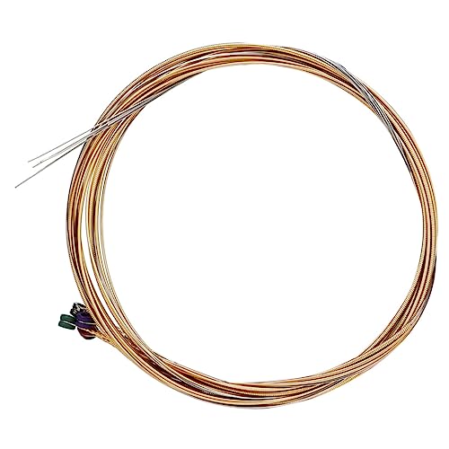 ifundom 1Zbgs?|?g { AR[XeBbNM^[p g