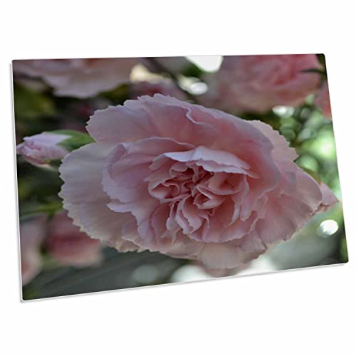 3dRose Patricia Sanders Flowers Pad de Escritorio Rosa