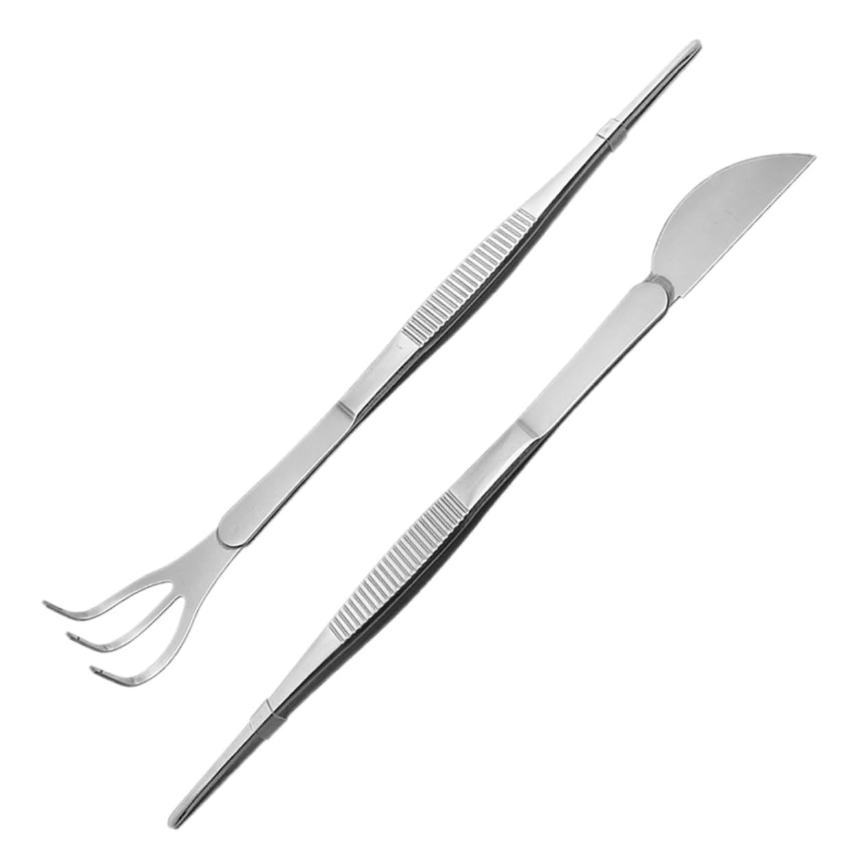Happyyami 6pezzi Pinzette Per Bonsai Acciaio Inossidabile Strumenti Per Giardinaggio Ergonomici e Pratici Per Delle Piante Per Lavori Di Precisione e Manutenzione Di Terreni e Muschi