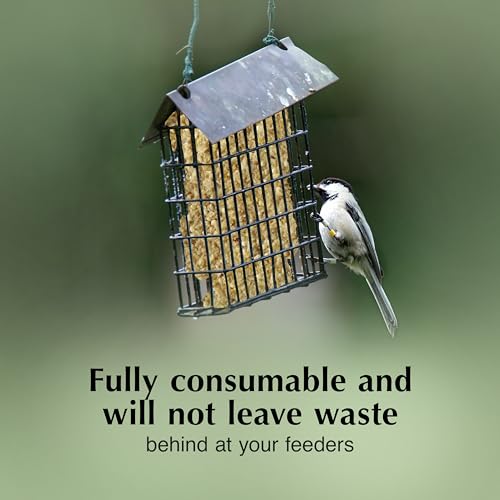 Image of C&S Pecan Delight No Melt Suet Dough, Suet Cakes for Wild Birds Including Nuthatches, Woodpeckers, Chickadees and More, 11.75 Ounces, Pack of 8